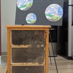 Regina Bypass Initiative Creates Buzz with Bees, Honey, and Community Involvement