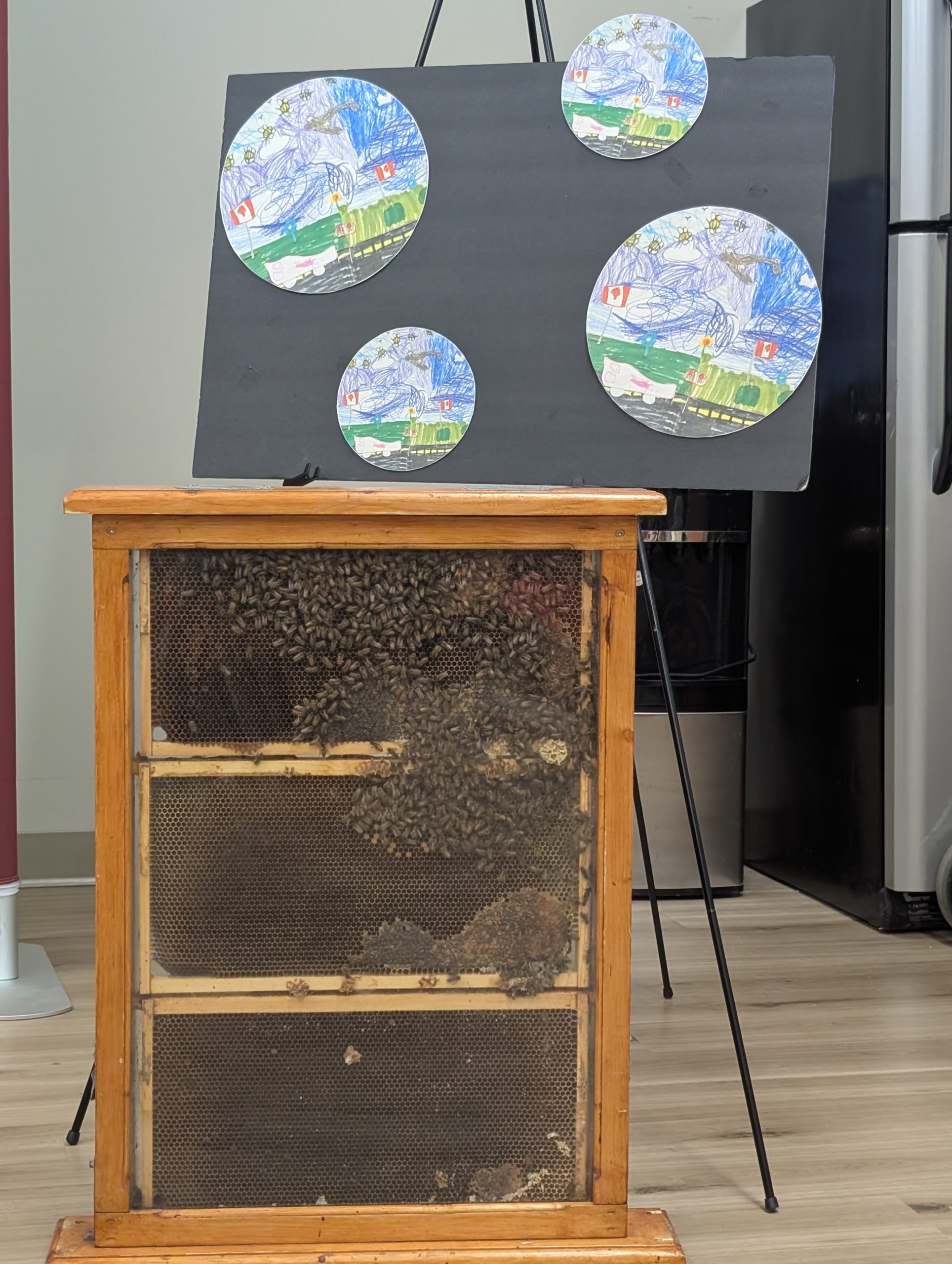 Regina Bypass Initiative Creates Buzz with Bees, Honey, and Community Involvement